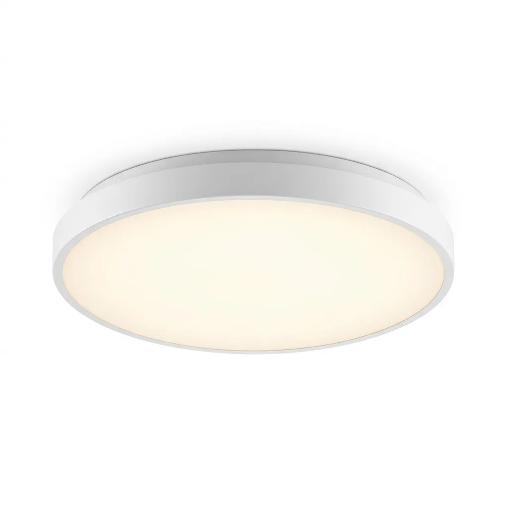 LED Ceiling Light